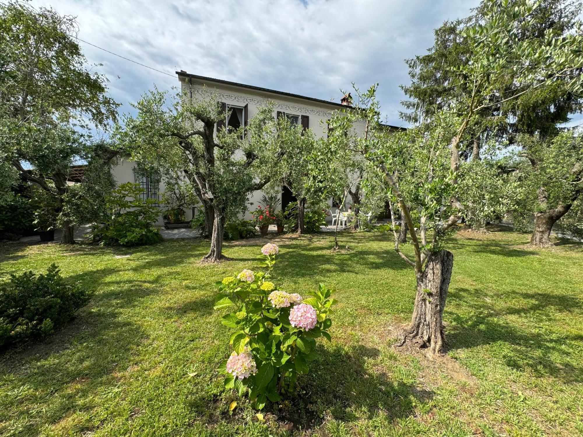 Casa Romana Viareggio Exterior foto
